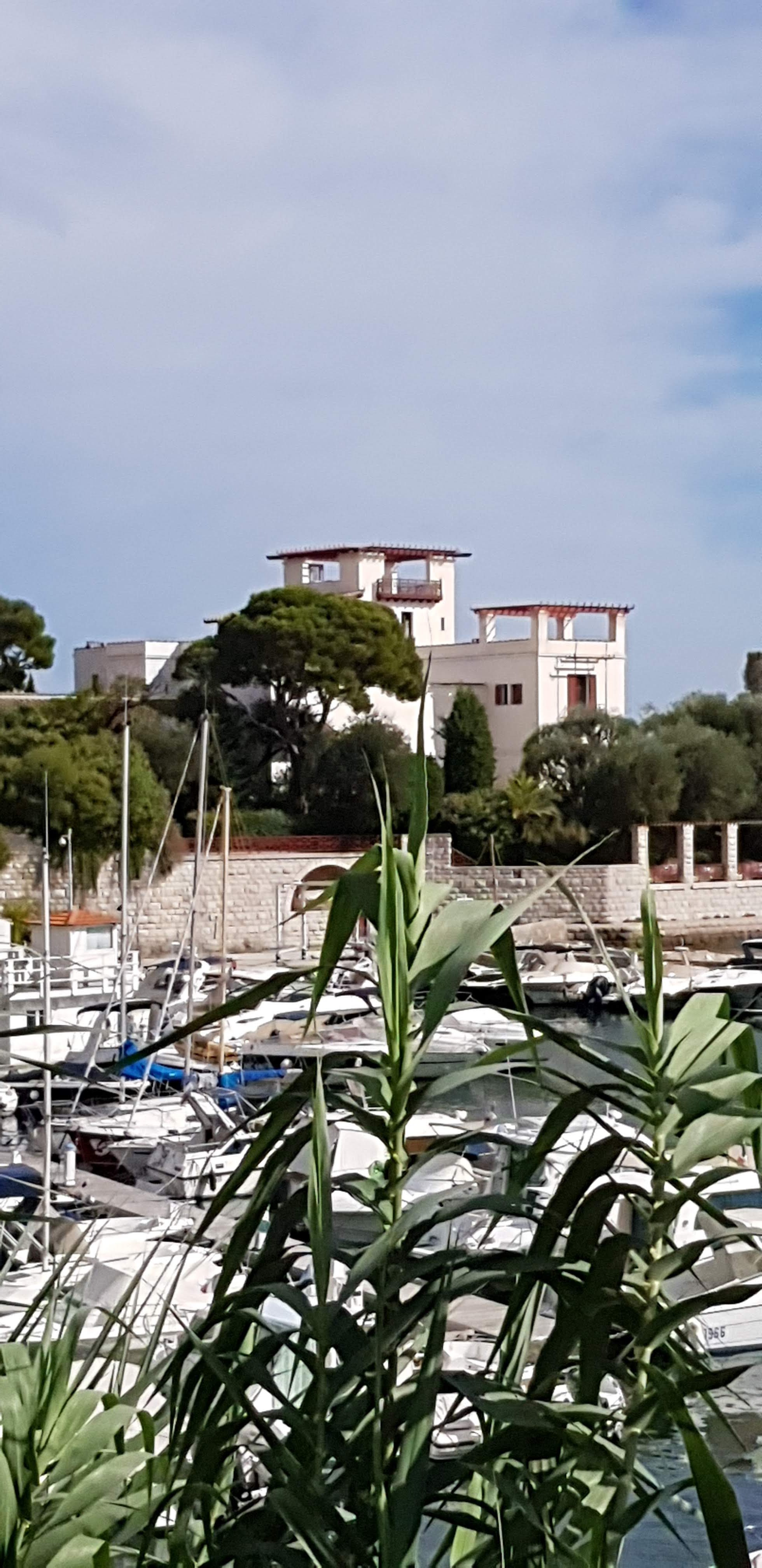 Photo n° 2 de l'avis de jean-marc.e fait le 08/10/2019 à 14:18