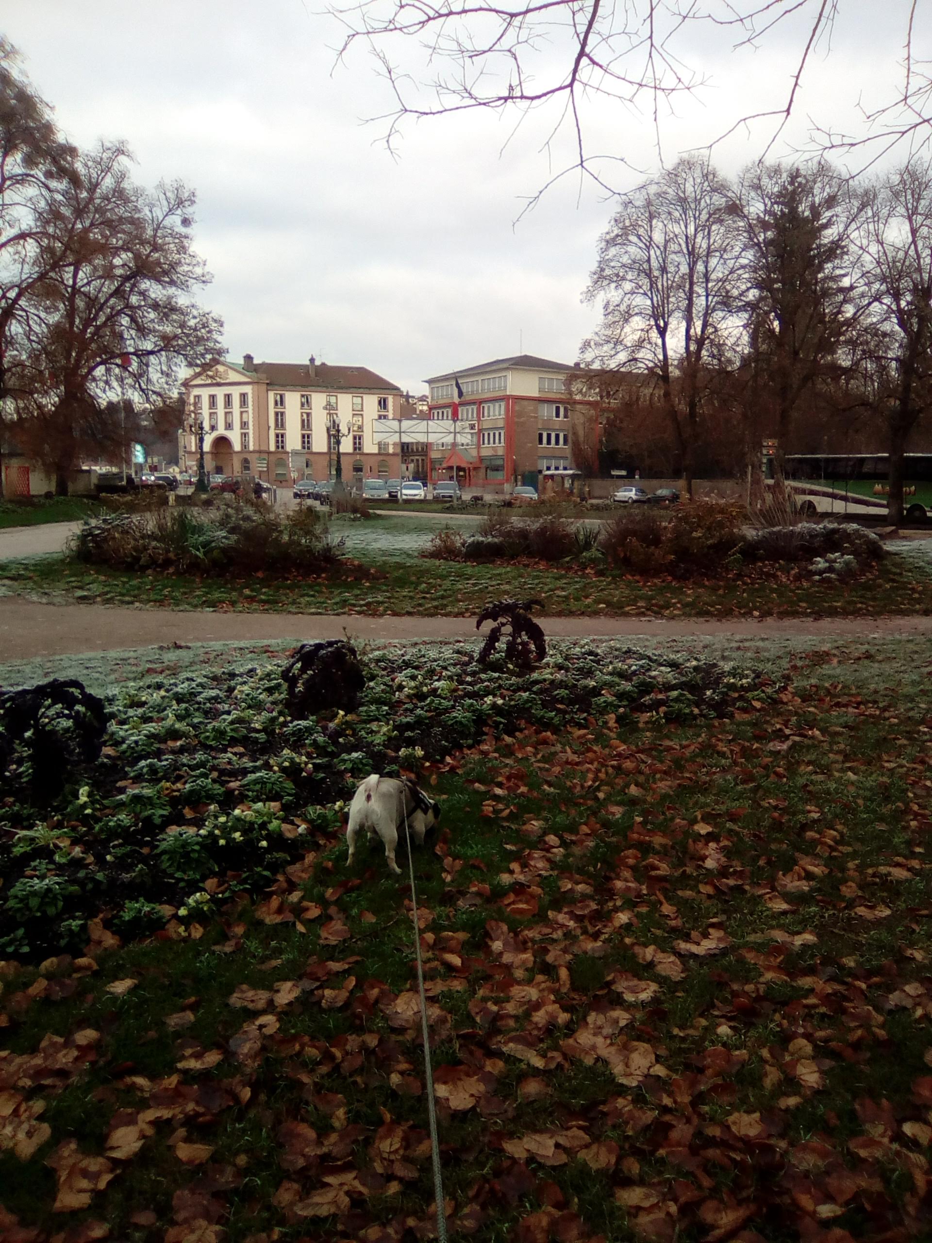 Photo n° 1 de l'avis de James.l fait le 13/12/2018 à 16:30