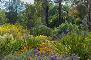 Wittunga Botanic Garden image