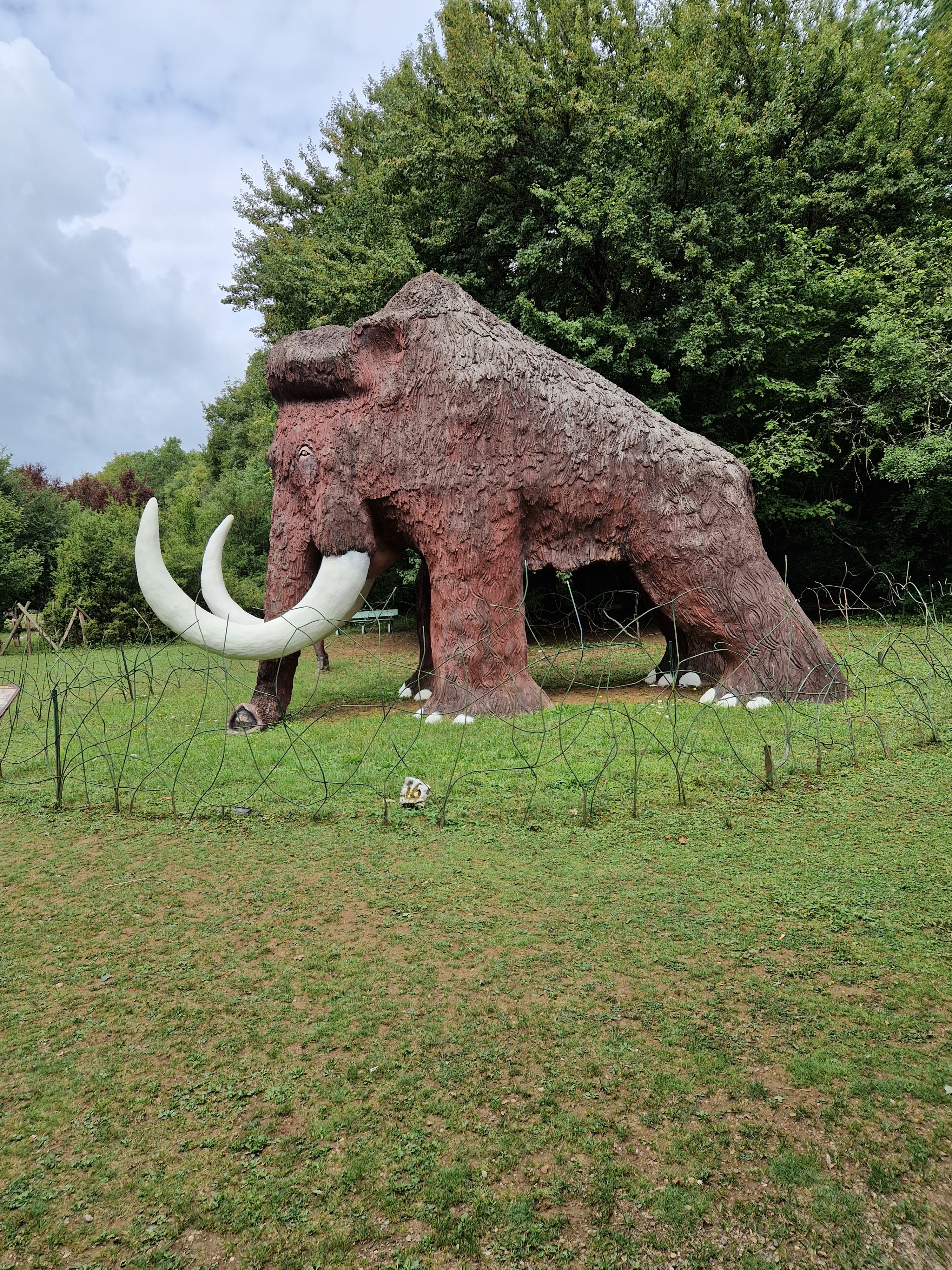 Photo n° 1 de l'avis de Michel. fait le 09/08/2023 à 11:06