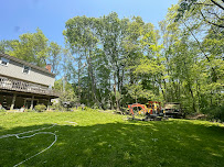 Nery's Tree Services LLC - Photo 3 - Car repair in , Bridgeport