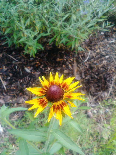 Tourist Attraction «The Gorge - A Zipline Canopy Tour», reviews and photos, 166 Honey Bee Dr, Saluda, NC 28773, USA