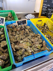 Plats et boissons du Bar-restaurant à huîtres Les Viviers du Logeo dégustation d'huitres naturels et vente a emporter à Sarzeau - n°4