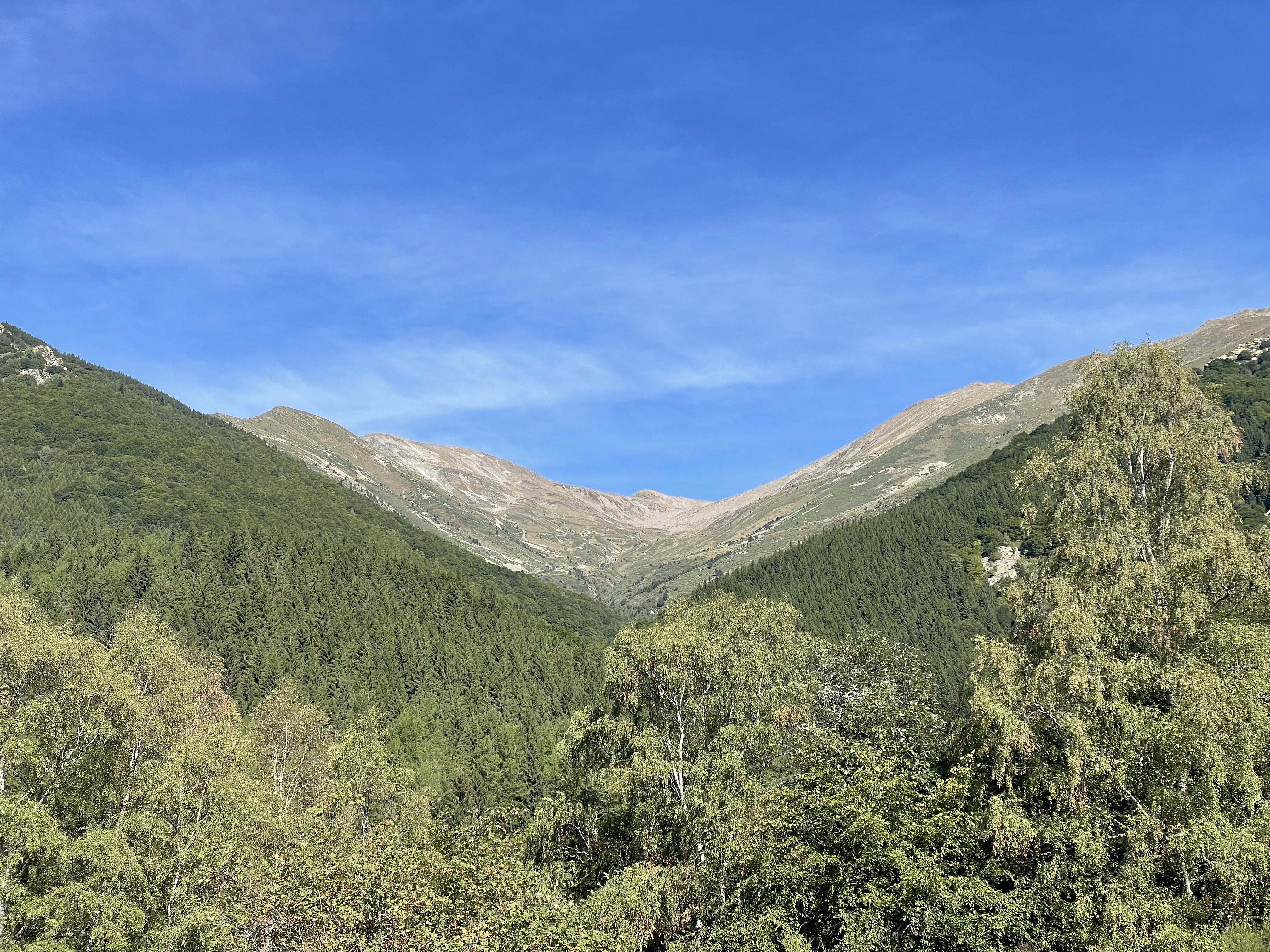 Photo n° 2 de l'avis de S. fait le 11/09/2022 à 19:01