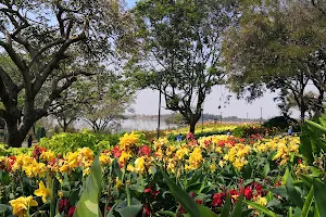 Osman Sagar Lake View Park image