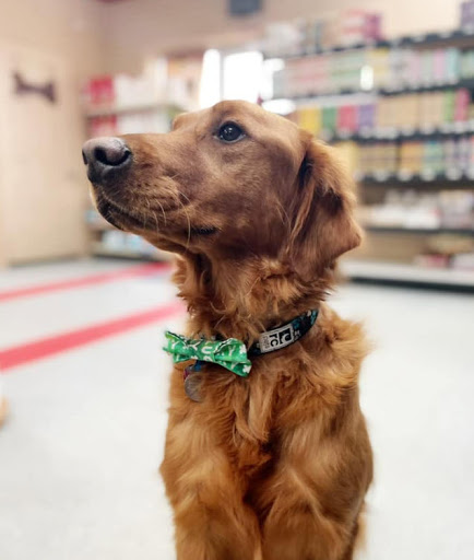 Pet Supply Store «Your Pet Stop», reviews and photos, 501 E 41st St, Sioux Falls, SD 57105, USA