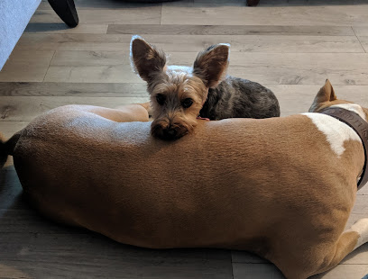 Around Midnight Pet Services LLC