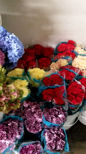Wholesale Florist «Travis Wholesale Florists», reviews and photos, 240 W Josephine St, San Antonio, TX 78212, USA