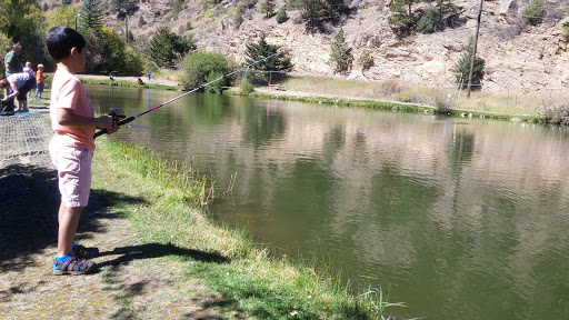 Fishing Lake «Mount Evans Trout Fishing LLC», reviews and photos, 4121 Chicago Creek Rd, Idaho Springs, CO 80452, USA