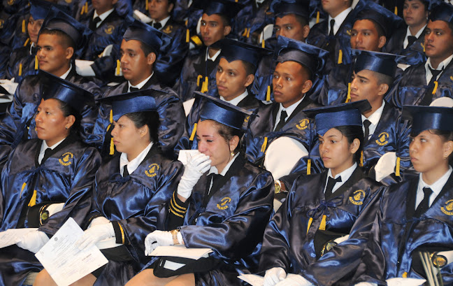 https://academialtamar.com/wp/