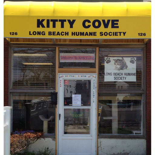 Long Beach Humane Society Kitty Cove image 2
