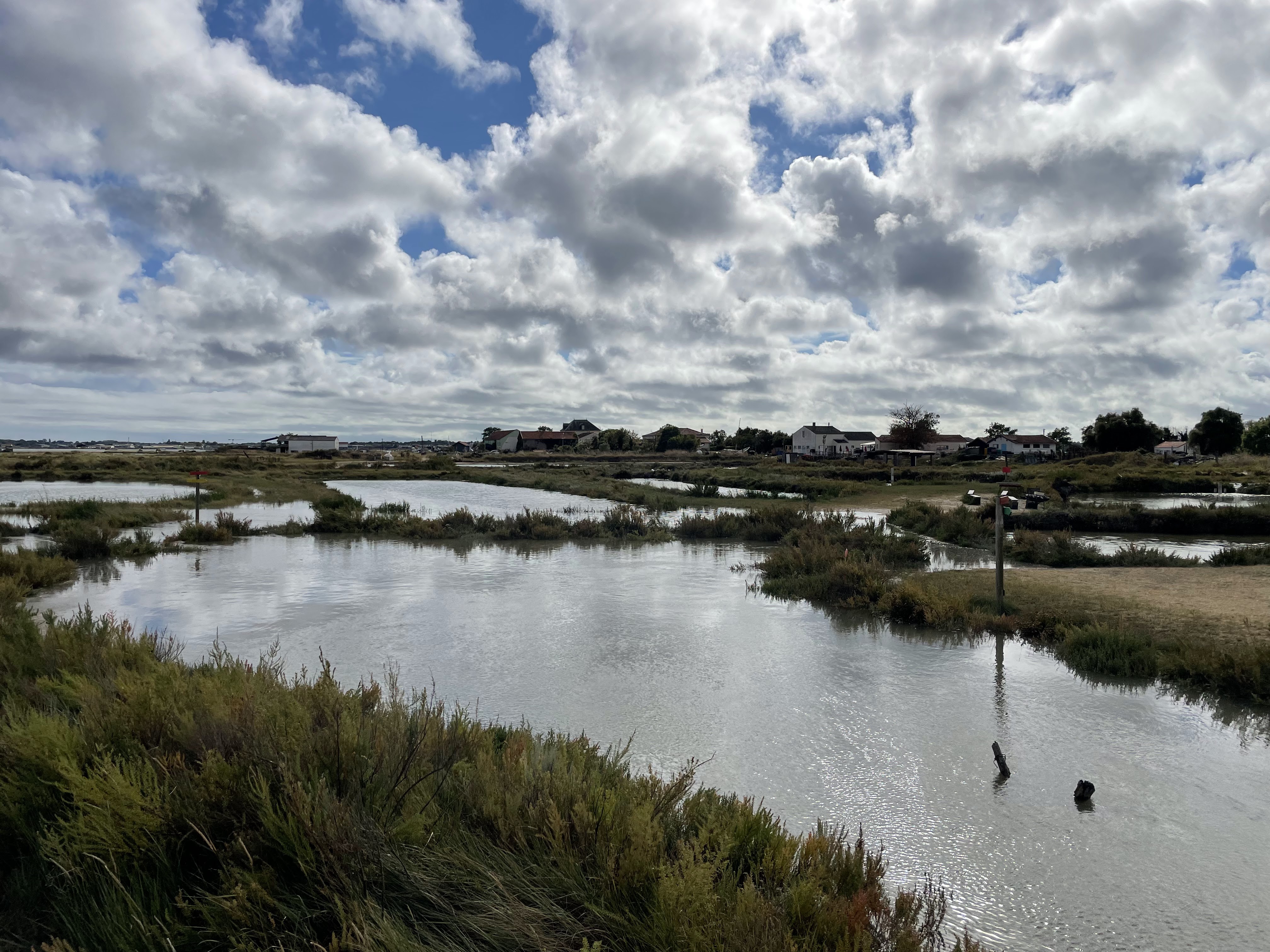 Photo n° 1 de l'avis de Scott. fait le 31/08/2023 à 21:22