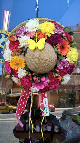 Σχόλια και κριτικές για το ΑΝΔΡΕΟΠΟΥΛΟΣ ΑΝΘΗ