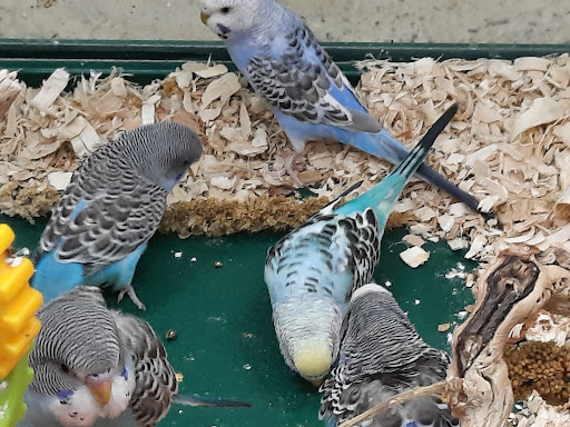 Pet Supply Store «Pet Expo Distributors», reviews and photos, 1800 Adams St, Mankato, MN 56001, USA