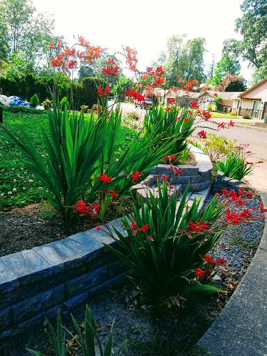 Park «Melilah Park», reviews and photos, SW 182nd Ave, Aloha, OR 97006, USA