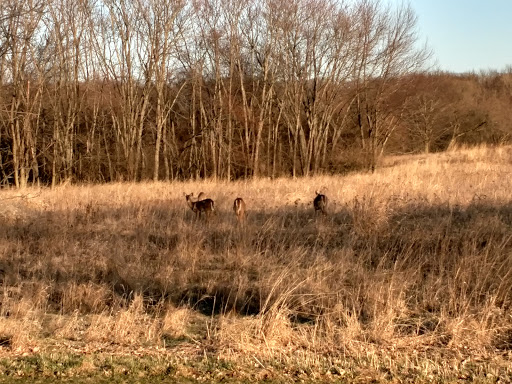 Nature Preserve «Lakewood Forest Preserve», reviews and photos, 27277 N Forest Preserve Rd, Wauconda, IL 60084, USA