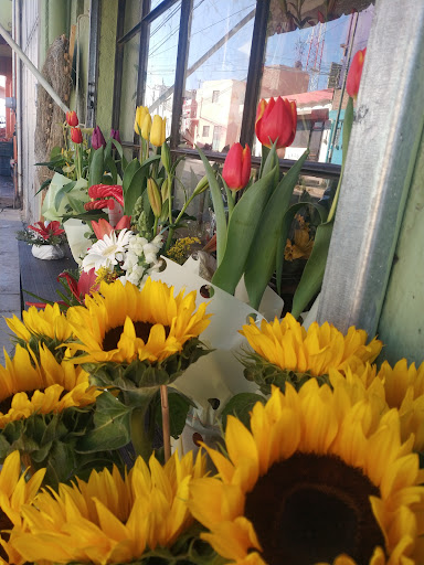 Florería Tadeo – Marfil