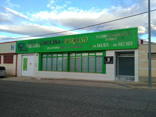 Molina-Paraiso en Zaragoza