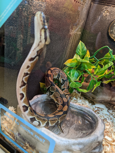 Pet Supply Store «PetSmart», reviews and photos, 730 S Sepulveda Blvd, El Segundo, CA 90245, USA