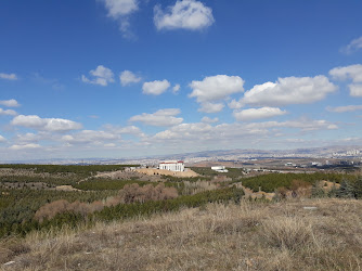 Hacettepe Üniversitesi Ankara Devlet Konservatuvarı