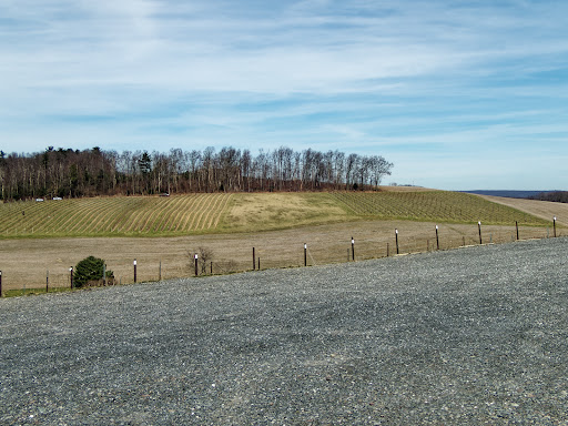 Winery «Galen Glen Winery», reviews and photos, 255 Winter Mountain Dr, Andreas, PA 18211, USA