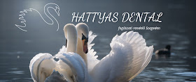 Hattyas Dental