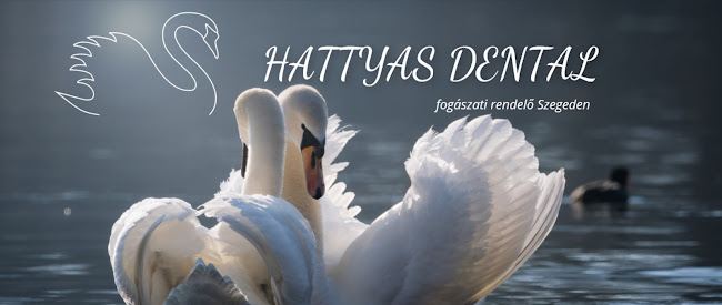 Hattyas Dental