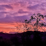 Photo n°9 de l'avis de gino.U fait le 01/01/2023 à 17:48 sur le  Borgo Sant'Ippolito Ginestra Fiorentina à Ginestra Fiorentina