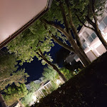 Photo n°5 de l'avis de Kerstin.o fait le 27/07/2021 à 18:57 sur le  Ristorante Park Gallanti à Comacchio