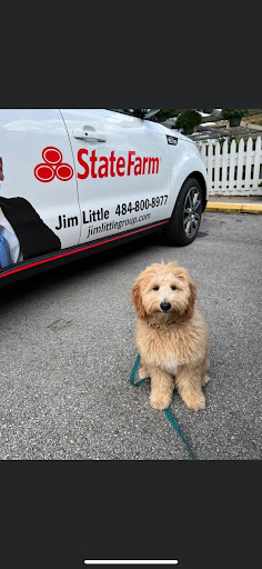 Insurance Agency «Jim Little - State Farm Insurance Agent», reviews and photos