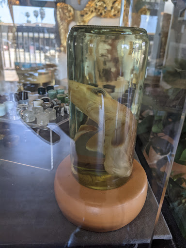 Explore dog tattoo ideas for females, creative tattoo ideas in Laguna Beach, available at Cast of Crowns Art Collective