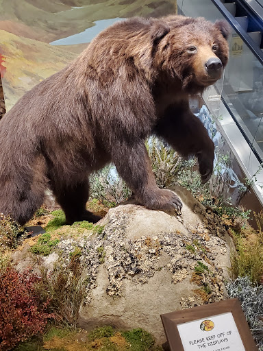 Sporting Goods Store «Bass Pro Shops», reviews and photos, 3501 Paxton St, Harrisburg, PA 17111, USA