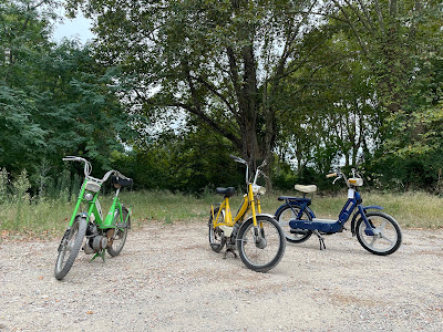 Mob around the Pic à Montferrier-sur-Lez