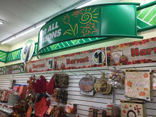 Dollar Store «Dollar Tree», reviews and photos, 152 Middle Neck Rd, Great Neck, NY 11021, USA