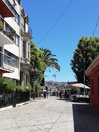 Opiniones de Cerro Concepcion.cl Portal publicitario de venta y servicios en la zona patrimonial en Valparaíso - Agencia de publicidad