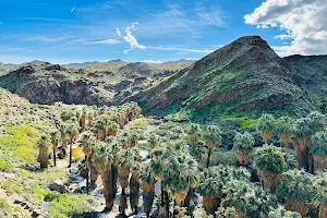 Palm Canyon image