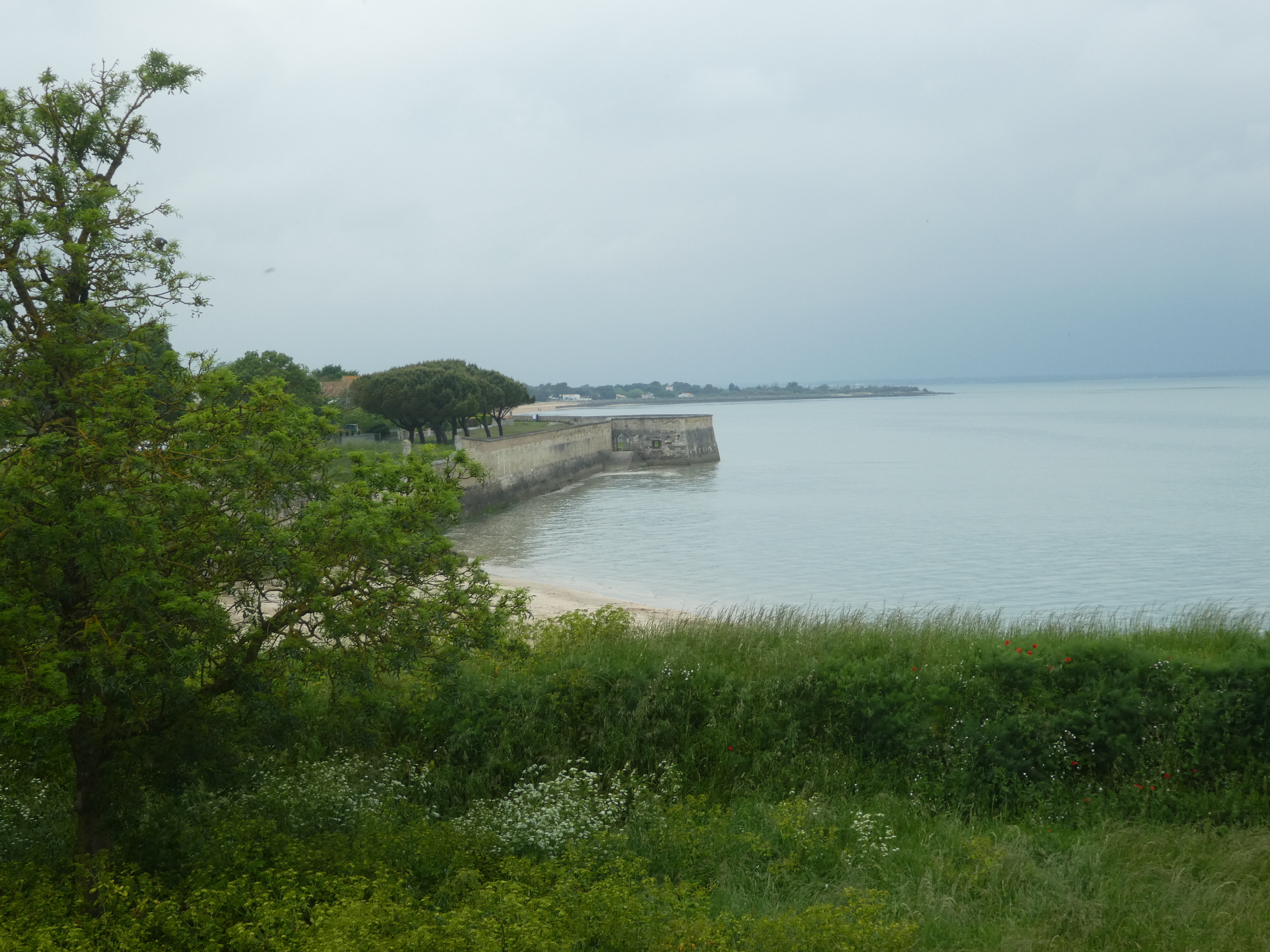 Photo n° 6 de l'avis de Céline.O fait le 13/05/2024 à 19:22