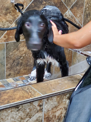 Pet Store «Pet Valu», reviews and photos, 63 Eastern Blvd N, Hagerstown, MD 21740, USA