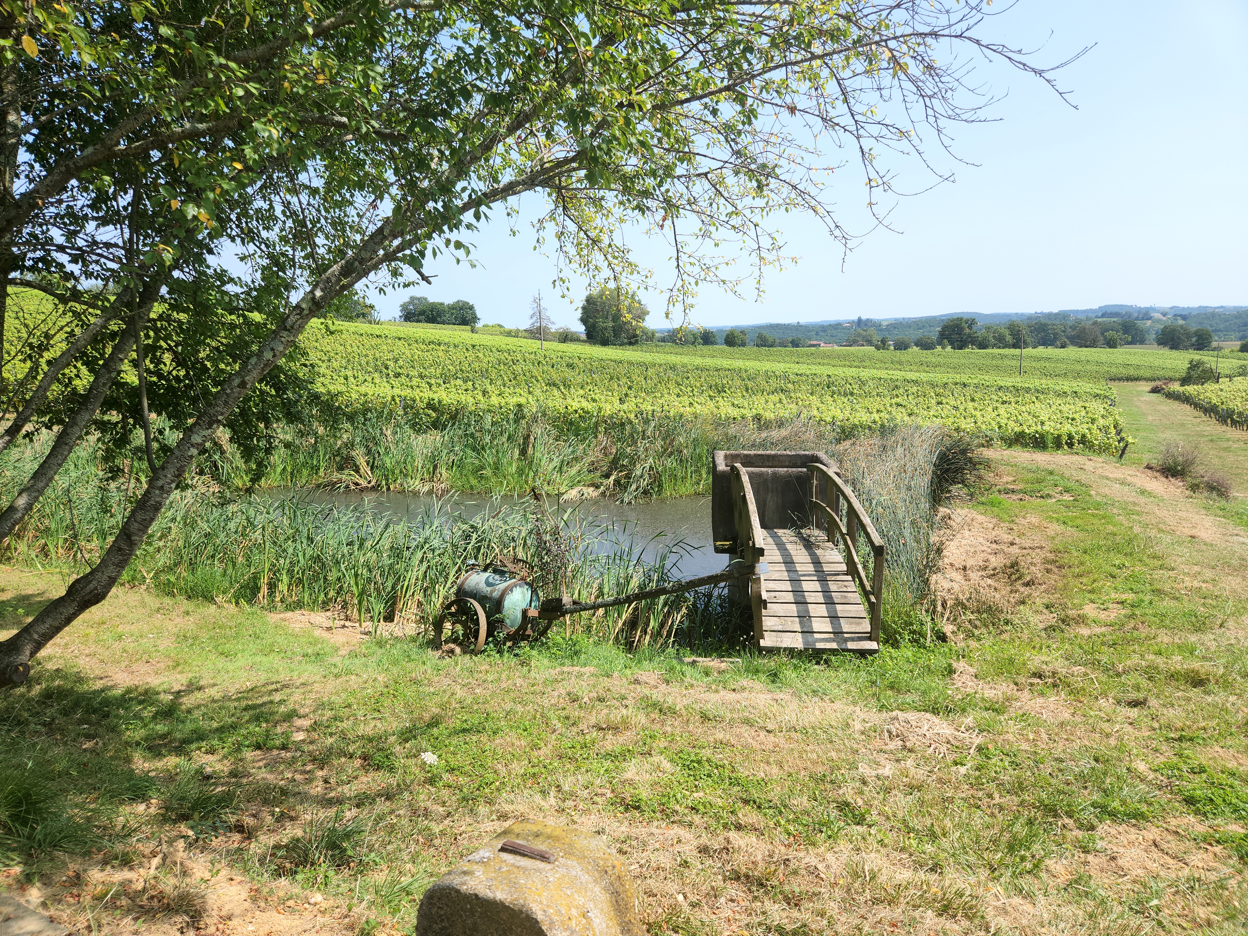 Photo n° 18 de l'avis de teddus.a fait le 23/07/2023 à 13:29
