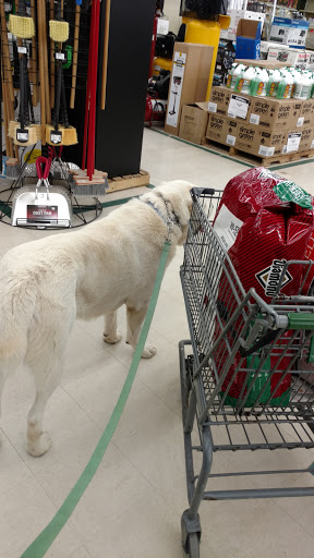 Farm Equipment Supplier «Family Farm & Home», reviews and photos, 66875 Gratiot Ave, Richmond, MI 48062, USA