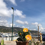 Photo n° 1 de l'avis de Vincent.l fait le 28/08/2022 à 16:44 pour Le Cabanon de Charlotte à Cargèse