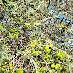 Photo n°2 de l'avis de Sara. fait le 01/10/2023 à 15:52 sur le  Vada Village à Vada