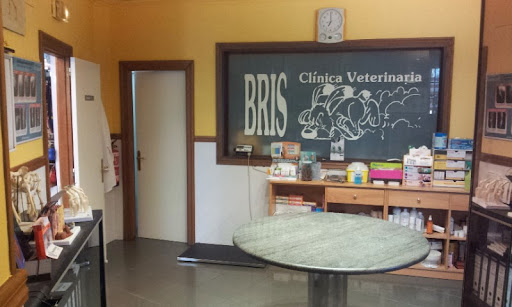 Bris Clínica Veterinaria- Albaitari Klinika