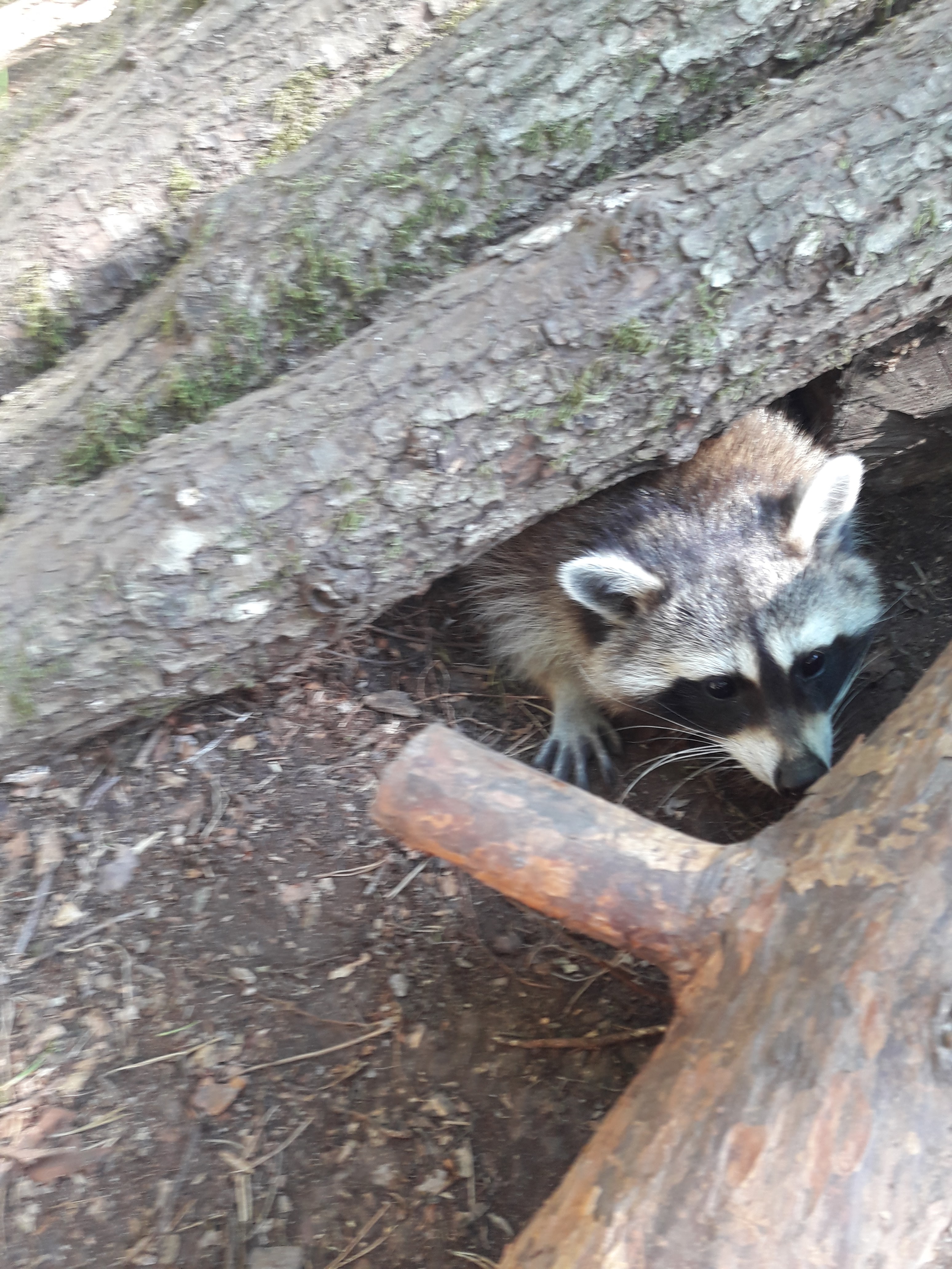 Photo n° 11 de l'avis de Christophe.l fait le 01/07/2018 à 13:30