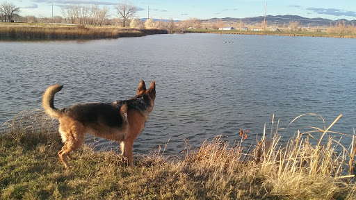 Golf Course «Headwaters Public Golf Course», reviews and photos, 225 N 7th Ave E, Three Forks, MT 59752, USA