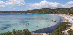 Photo de Plage d'Acciaju protégé par des falaises