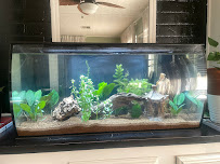 Hacienda Aquatics - Photo 6 - Car repair in La Puente, CA, Pomona