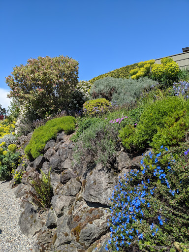 Park «Heritage Park», reviews and photos, 111 Waverly Way, Kirkland, WA 98033, USA