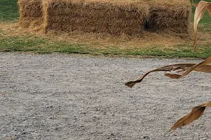 VanDemark Farm image