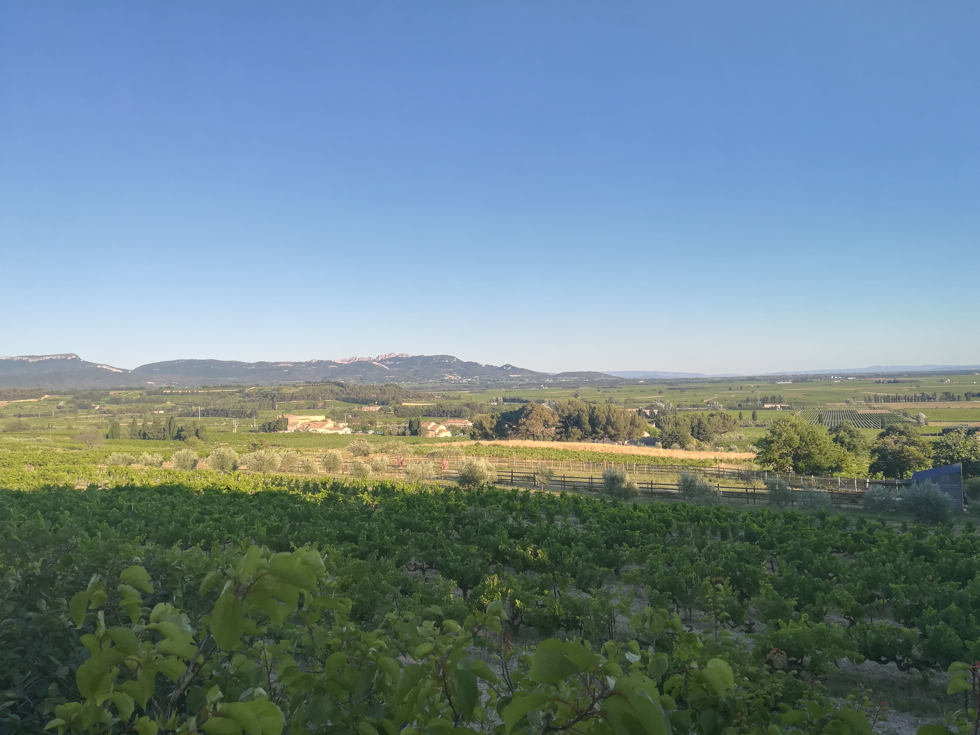 Photo n° 2 de l'avis de Hervé.c fait le 09/07/2021 à 22:21